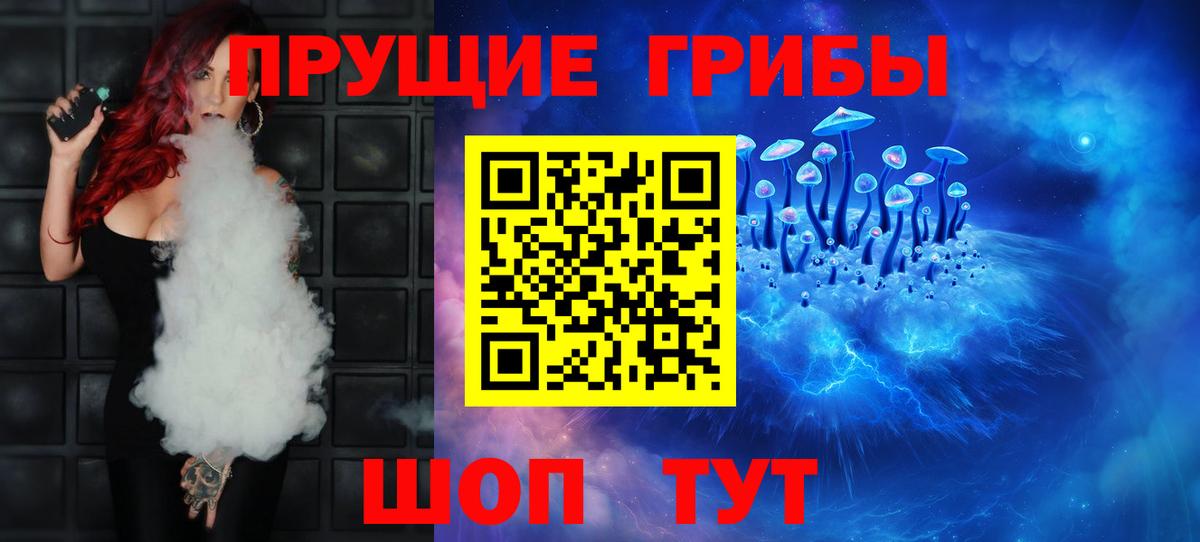Галлюциногенные грибы Psilocybine cubensis Кызыл
